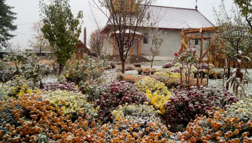 Biserica Iorcani - Noiembrie 2014