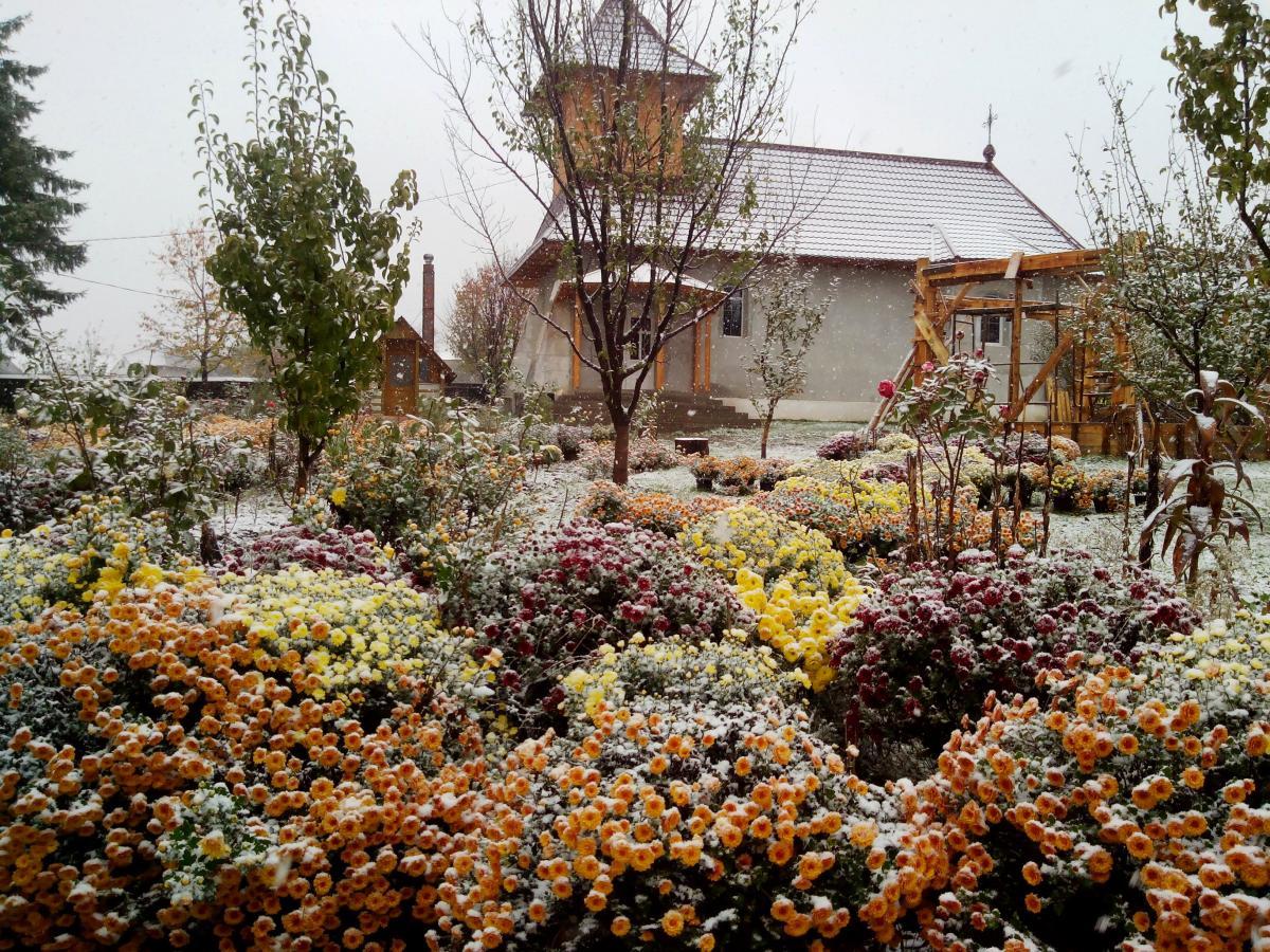 Biserica Iorcani - Noiembrie 2014